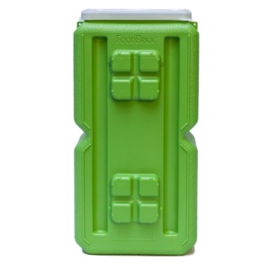 A FoodBrick Standard Green - (SHIPS IN 1-4 WEEKS) with four compartments.
