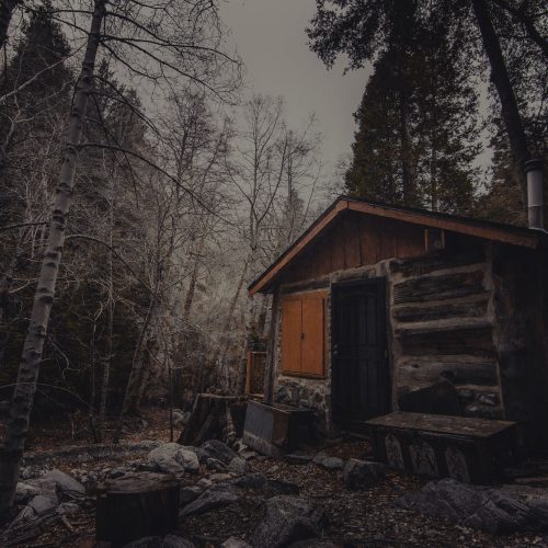 A cabin sitting in the middle of the woods.