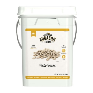 Pinto Beans in 4 gallon bucket