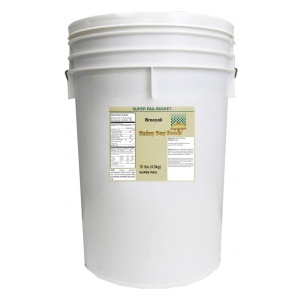 A Rainy Day Foods Gluten-Free Non-GMO Broccoli 5 Gallon 10 lbs Super Pail - 324 Servings - (SHIPS IN 5-10 WEEKS) with a label on it.