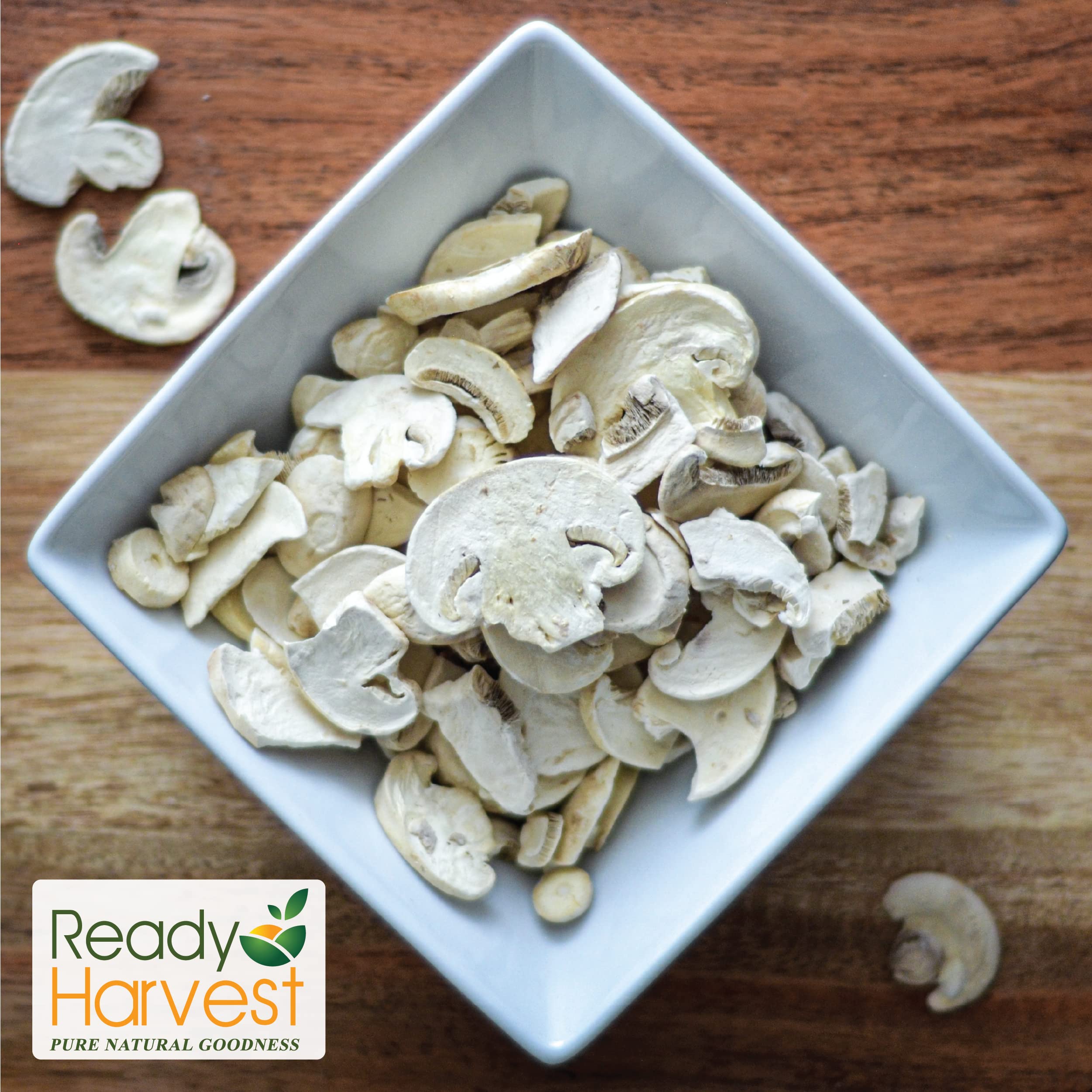 FZYEZY Freeze Dried Mushroom Powder, Gujarat At ₹ 4900/kilogram In...